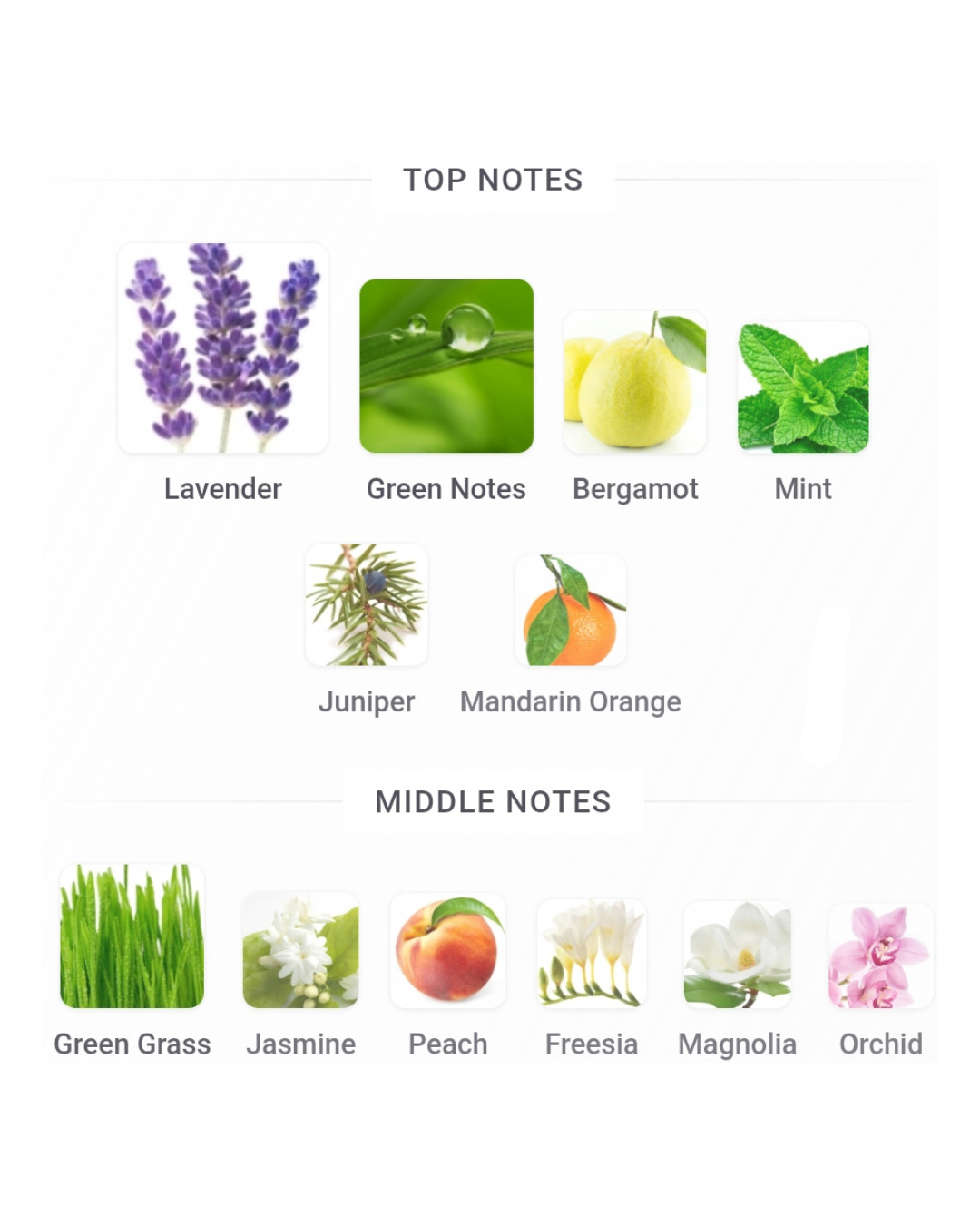 CK Be EDT 100ml