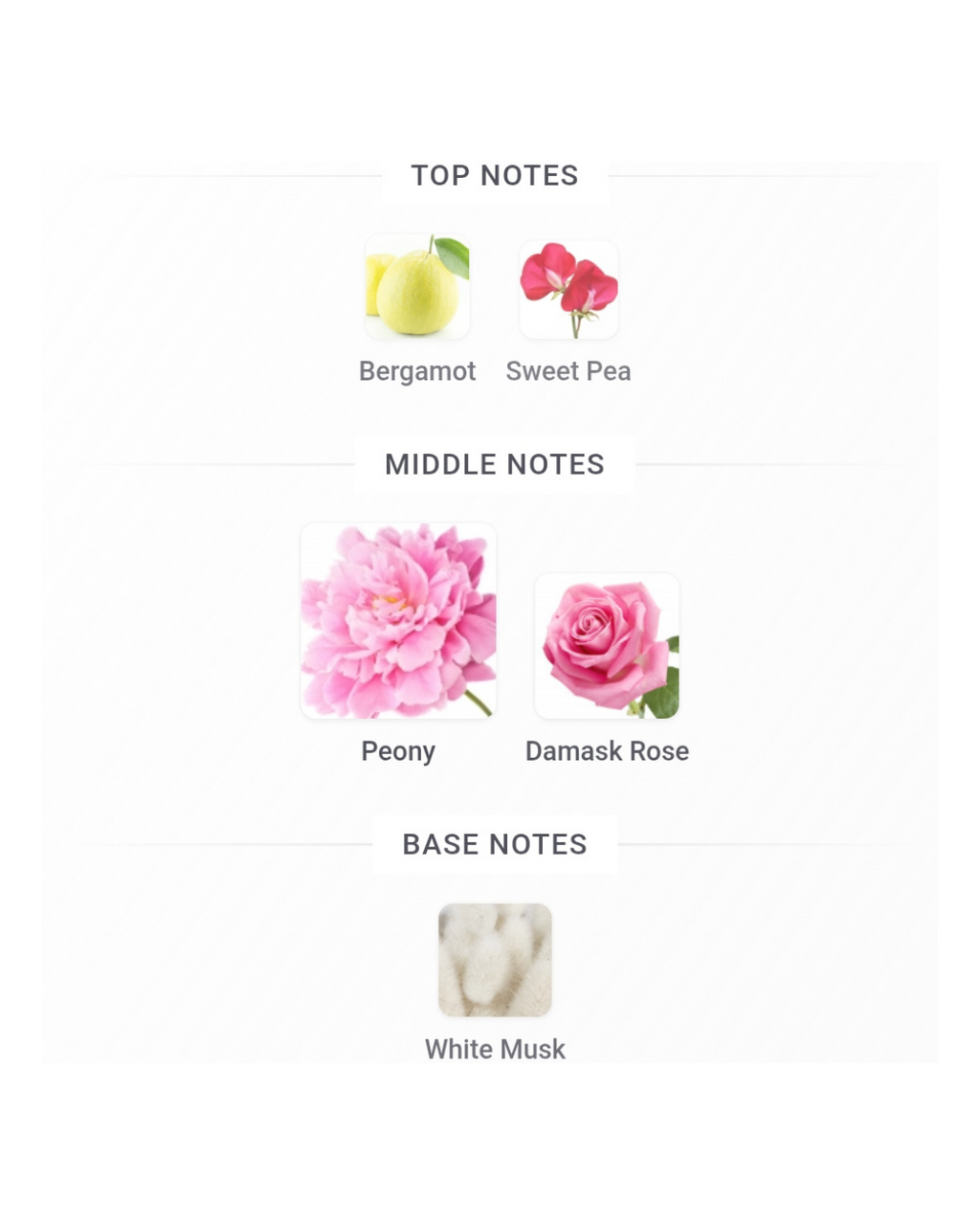 Dior 2-Vial Set 1.2ml