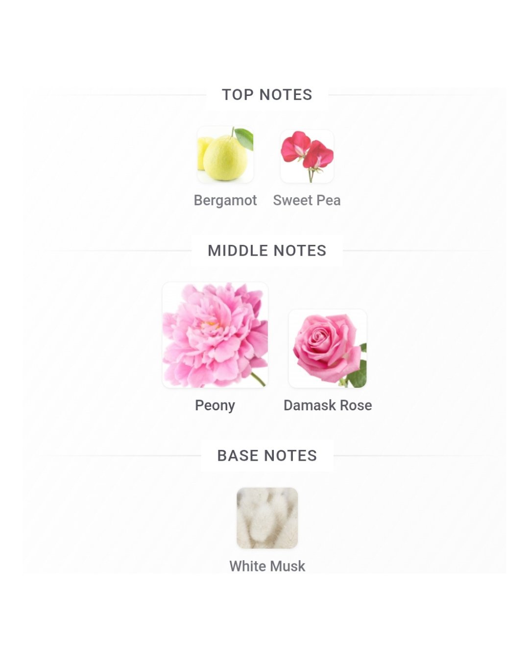 Dior 2-Vial Set 1.2ml