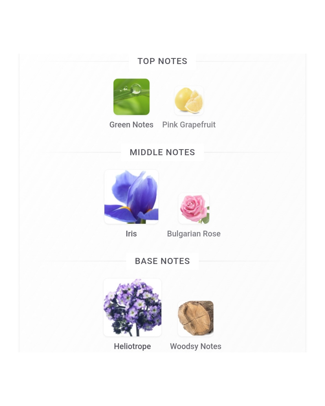 Bvlgari Omnia Amethyste EDT 15ml