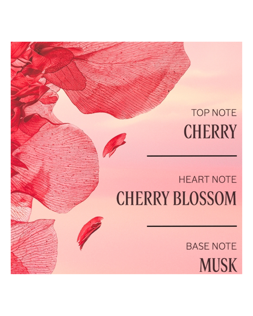 L'occitane Cherry Blossom Shimmering Lotion 35ml