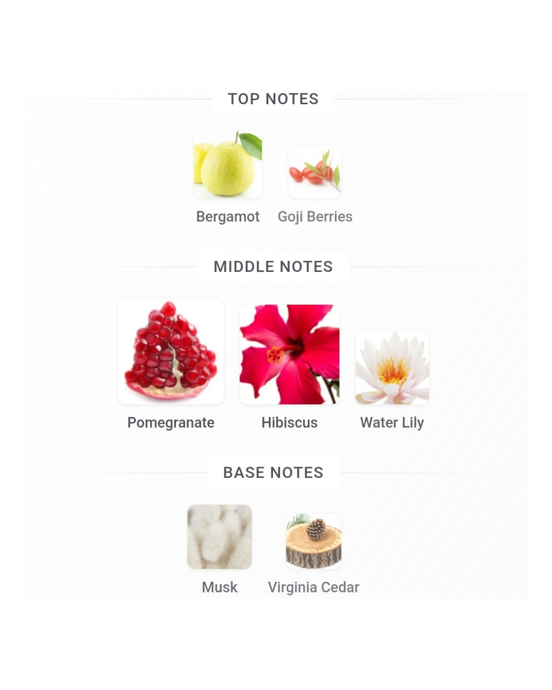 Bvlgari Omnia Coral EDT 15ml