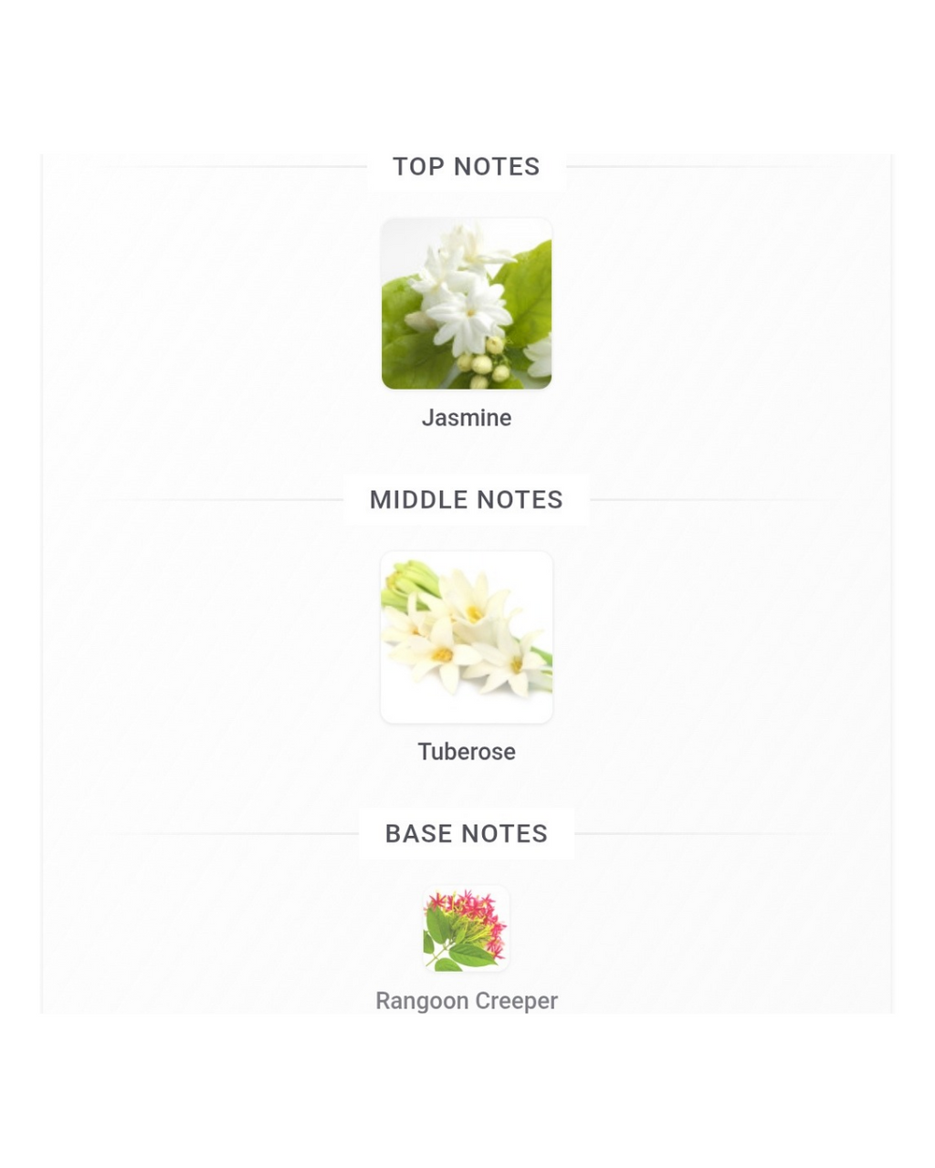 Gucci Bloom