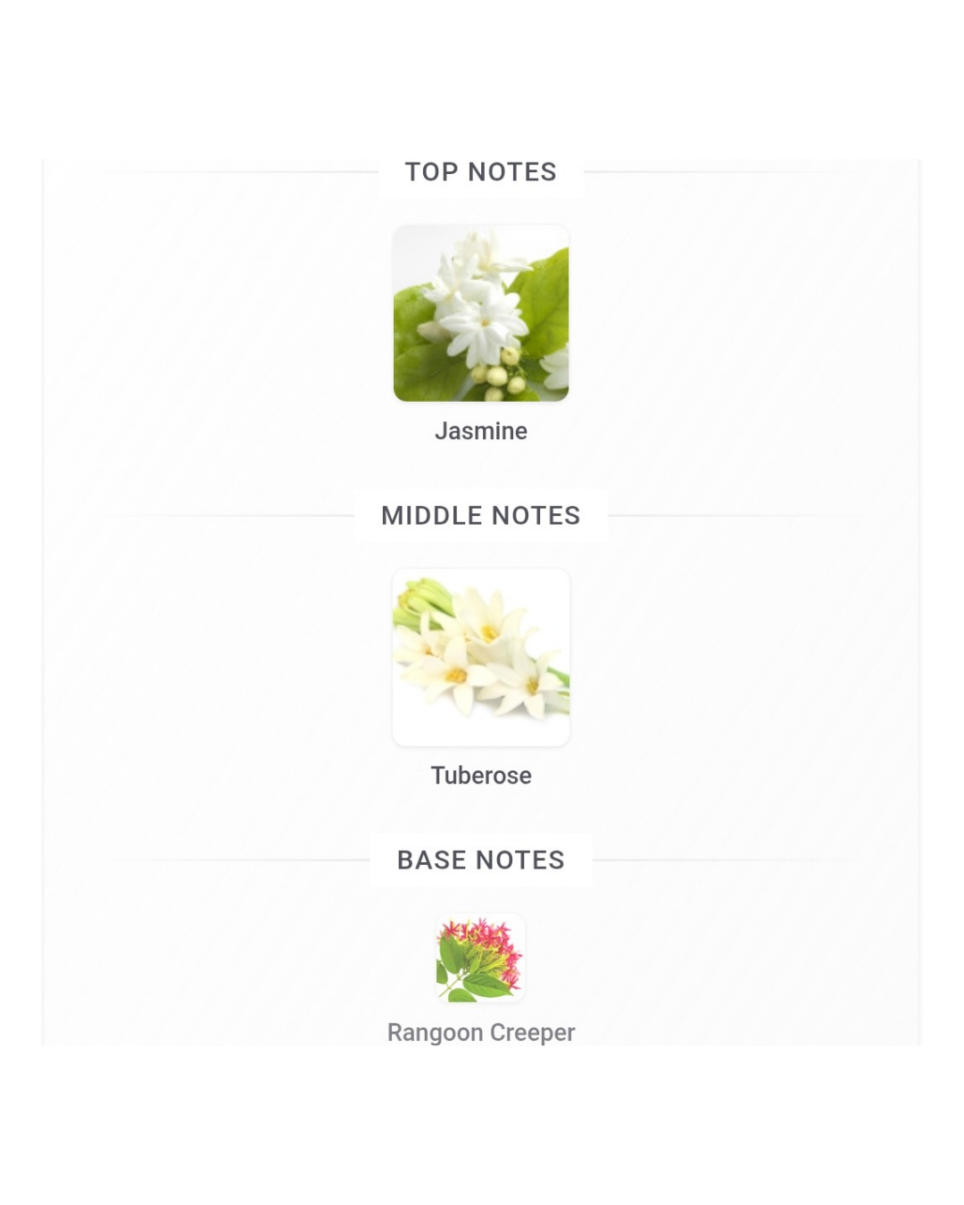 Gucci Bloom