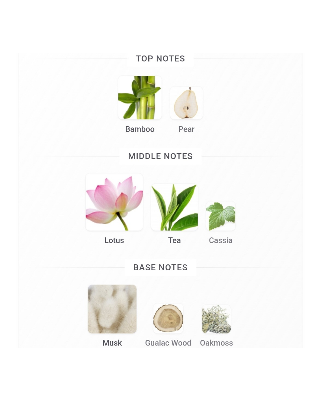Bvlgari Omnia Crystalline EDT 15ml
