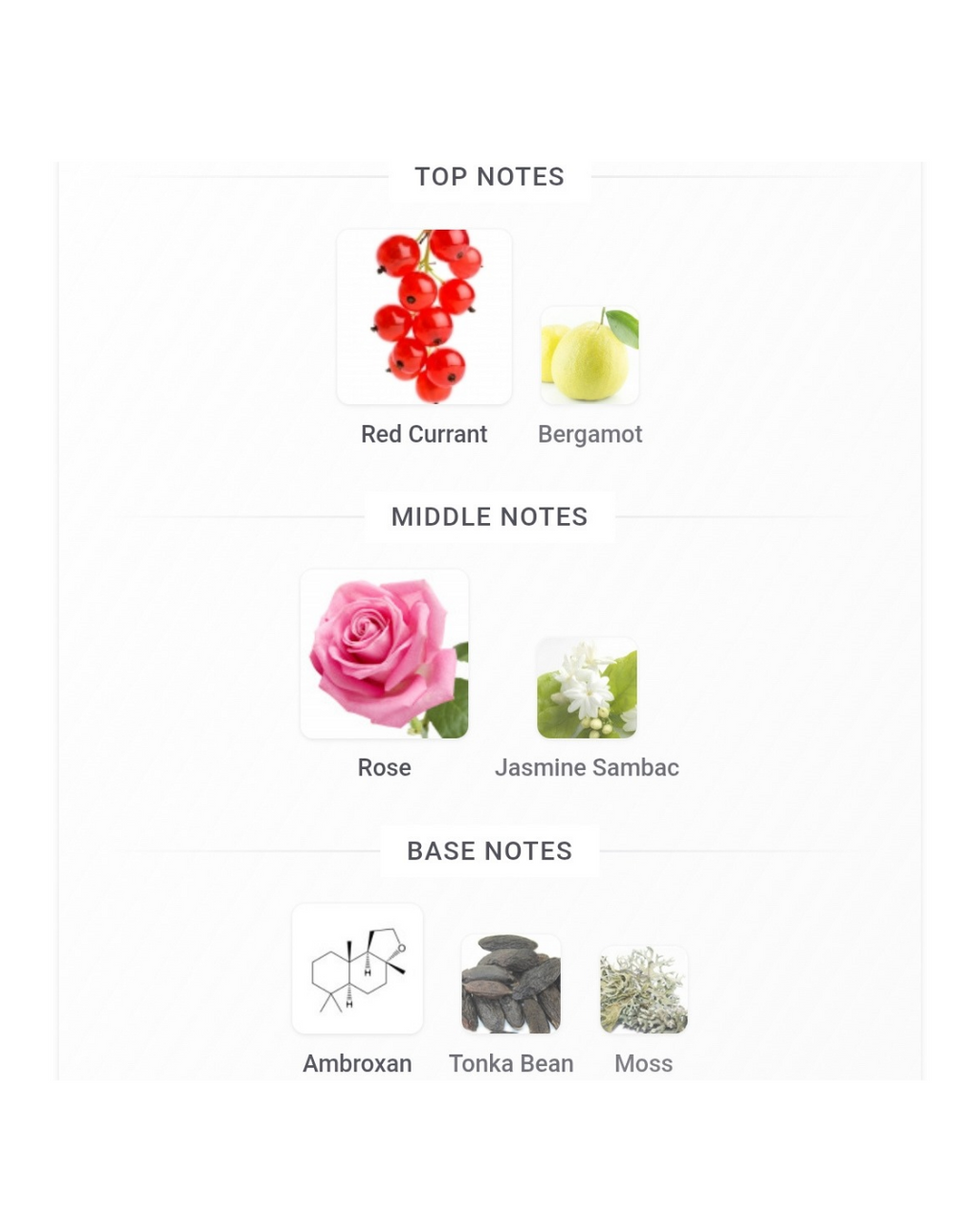 Coach Wild Rose 4.5ml