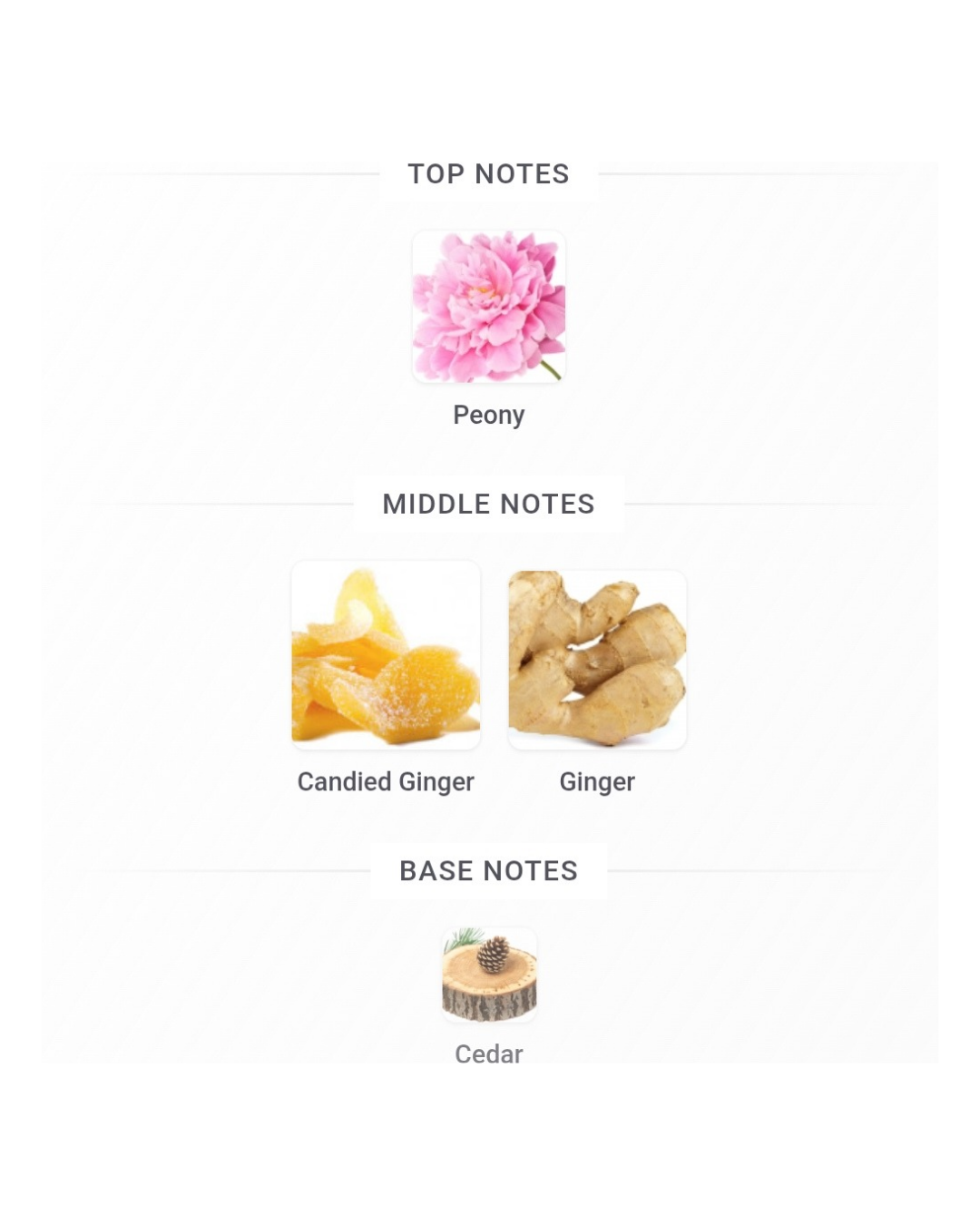 Hermes Twilly d'Hermes Eau Ginger EDP 7.5ml