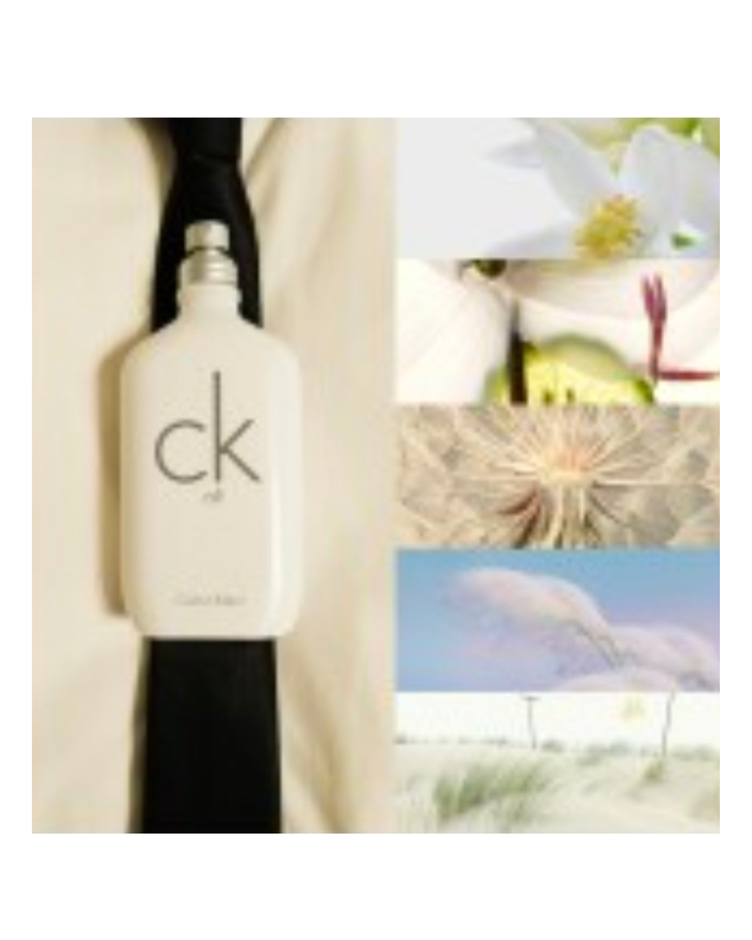 CK All EDP Mini 10ml