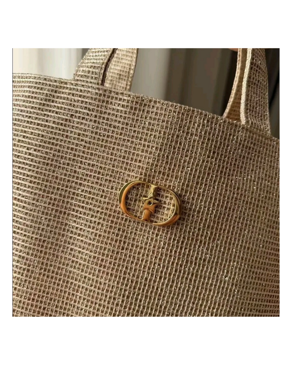 Dior Champagne Gold Tote Bag (sealed plastic packaging)