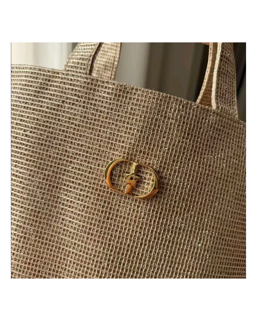Dior Champagne Gold Tote Bag (sealed plastic packaging)