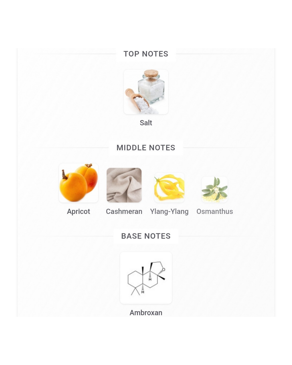 Glossier Beauty Insider Set