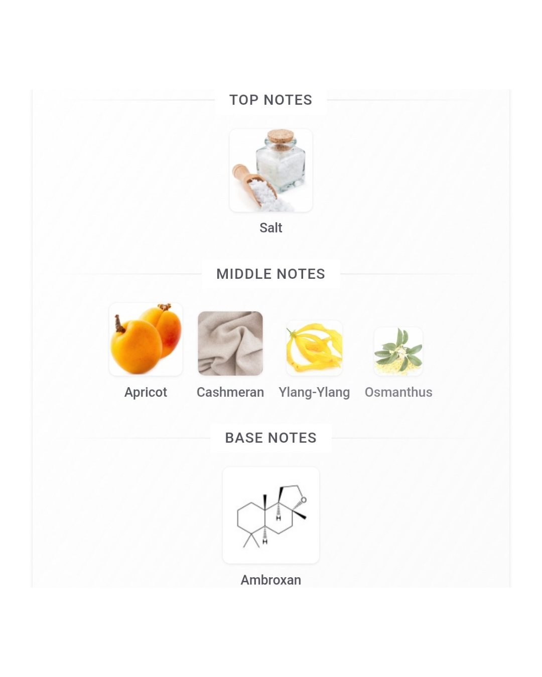 Glossier Beauty Insider Set