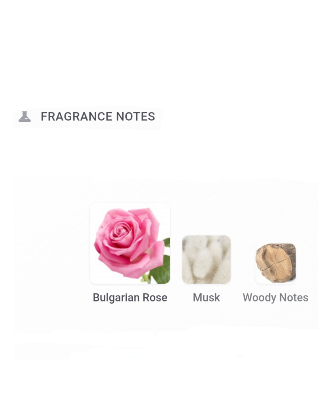 Gucci The Alchemist's Garden A Song For The Rose 1.5ml