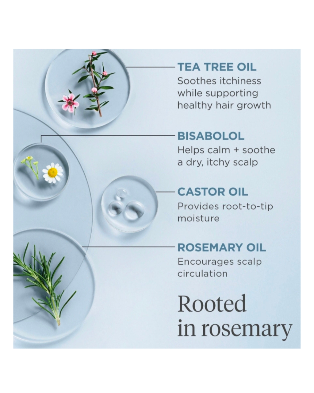 Briogeo Scalp Revival Rosemary Pre-Wash Oil 30ml