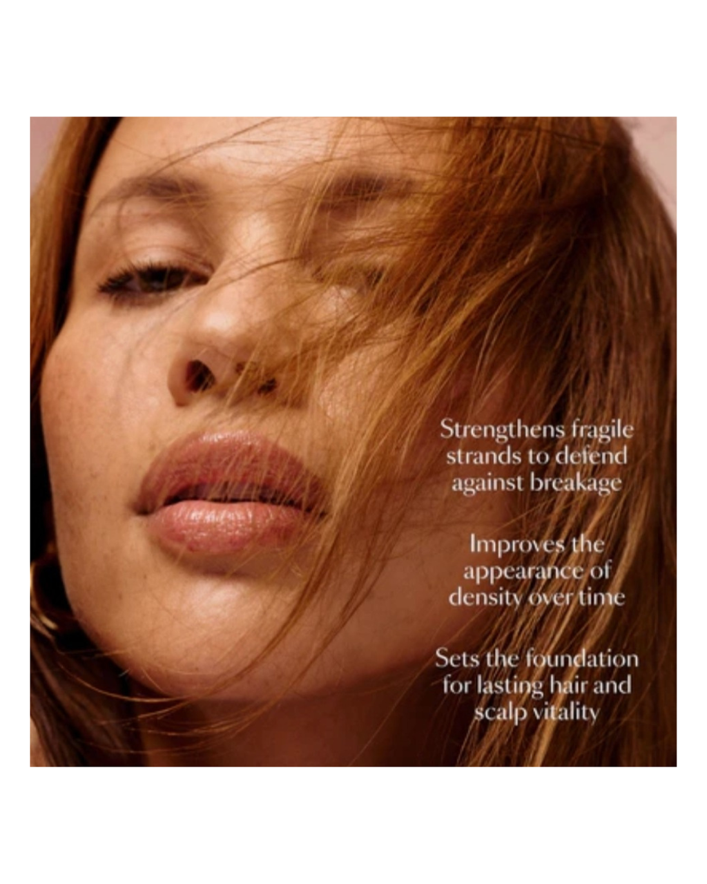 Vegamour Beauty Insider Set